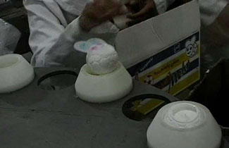 Feeding Dried Cream - Industry modern machinery Aghayari